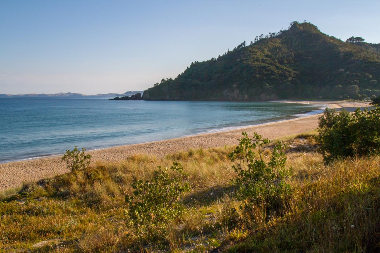 Taigh Na Mara Bed And Breakfast Whitianga Eksteriør bilde