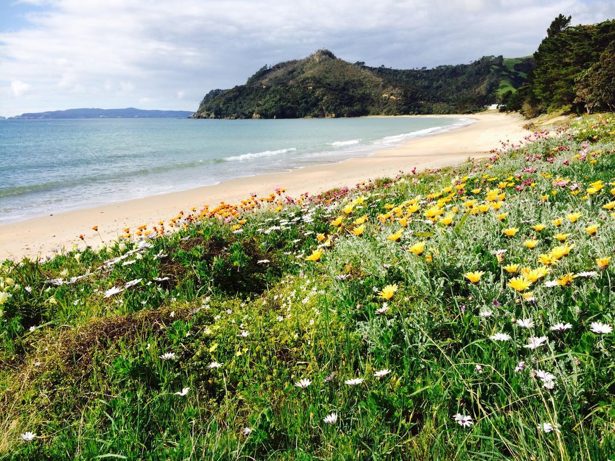 Taigh Na Mara Bed And Breakfast Whitianga Eksteriør bilde